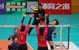 女排联赛 在线观看,在线观看不容错过！